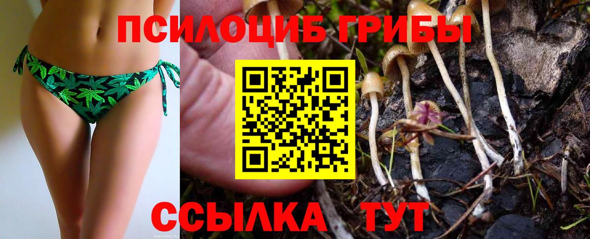 Псилоцибиновые грибы GOLDEN TEACHER Новороссийск