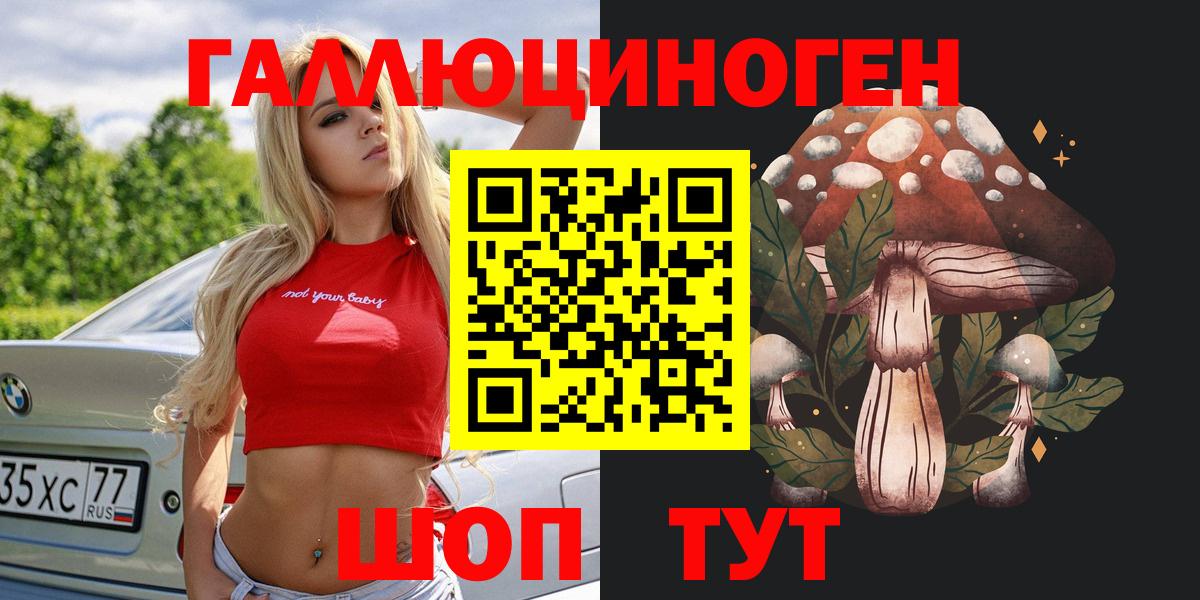 Новороссийск  Галлюциногенные грибы Magic Shrooms  Вход с VPN 