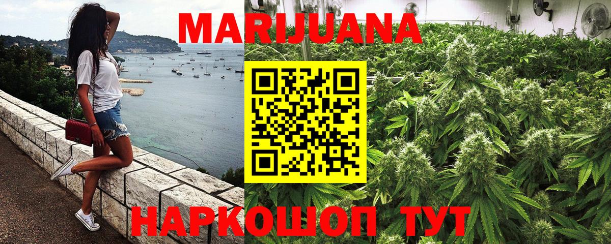 Марихуана планчик Новороссийск